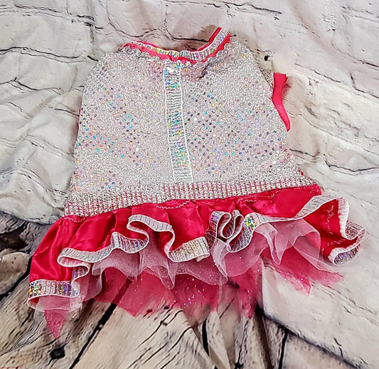 Irradescent hot pink pet dress, Disco pet dress, silver pet dress, princess pet dress, princess dog dress, pink dog cat dress