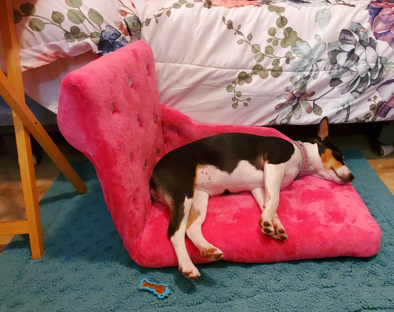 Hot Pink Pet Chaise Bed, Fushia Pet Chaise Bed, Chaise dog bed, Chaise, Cat bed, Chaise Pet Bed, Luxury pet Chaise Lounge,Cat Chaise bed