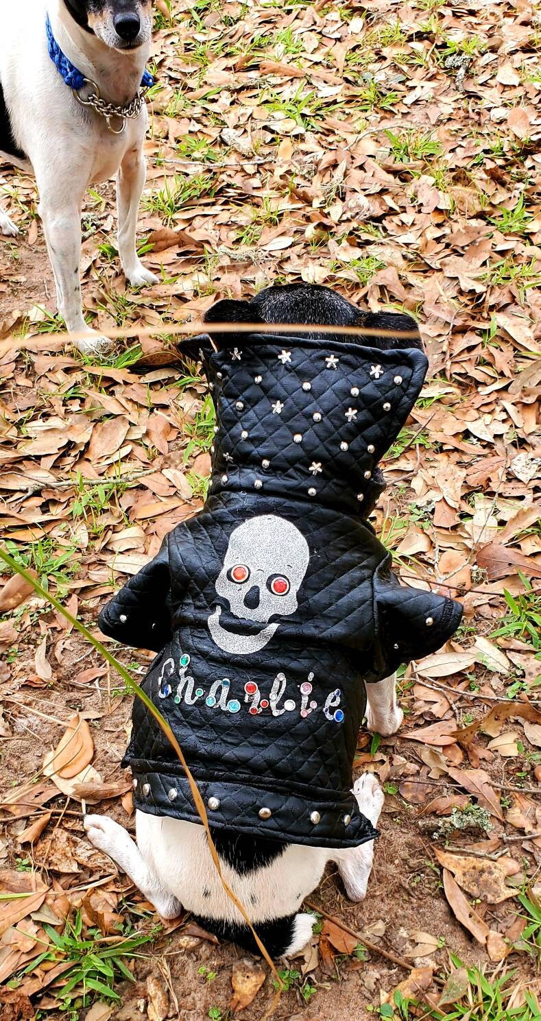 Pet leather jacket, pet personalized jacket, black pleather dog jacket, motorcycle pet jacket, bad to the bone pet jacket, jackets for dogs