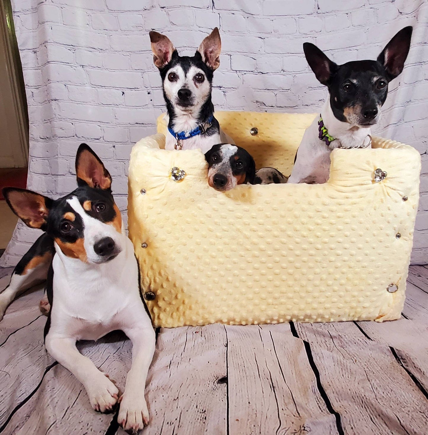Pet car seat, dog car seat, dog booster seat, pet booster set, luxury pet bed, dog bed, luxury dog bed, safety pet seat, pet car bed