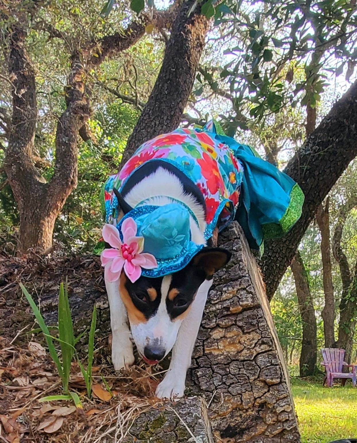 Flower Summer Pet dress/ pet sundress/ dog sundress/ flower print pet clothes/ glitter pet dress/ dresses for pets/ special occasion pet