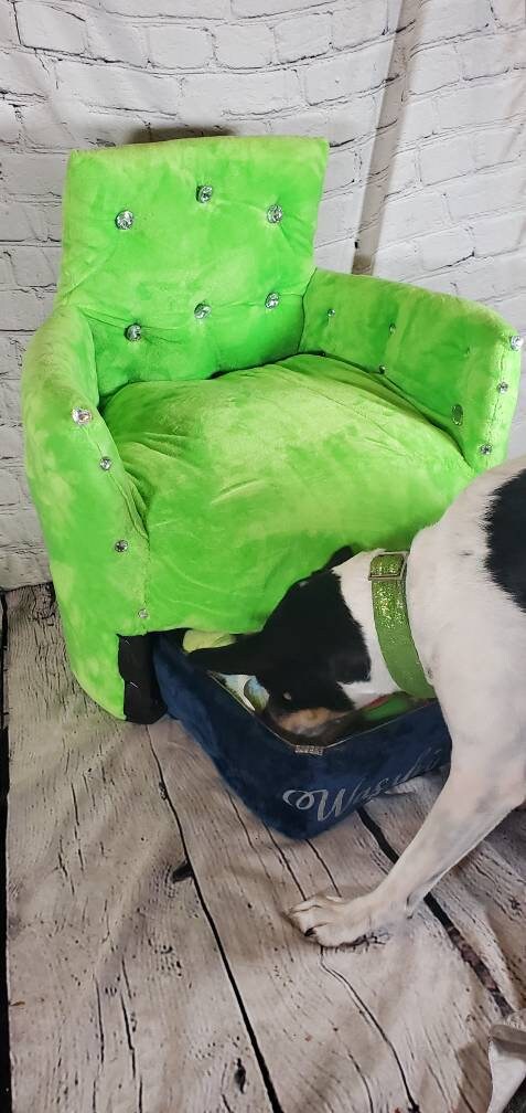 Luxury pet chair, pet parson chair, pet bed with toy box, dog parson chair, personalize pet chair, pet furniture, furniture for dogs