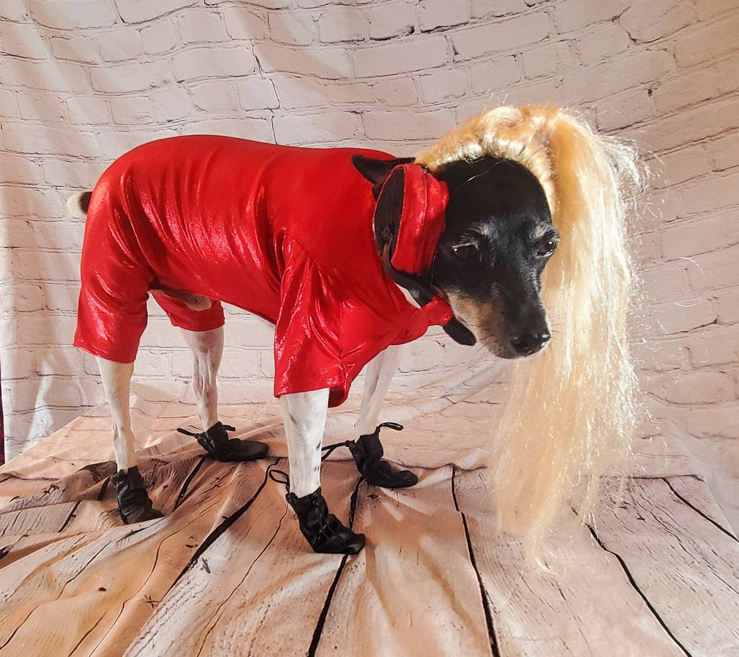 Britney Spears pet costume replica, oops I did it again pet costume, pop singer pet costume, dog pop singer, Britney Spears dog costume