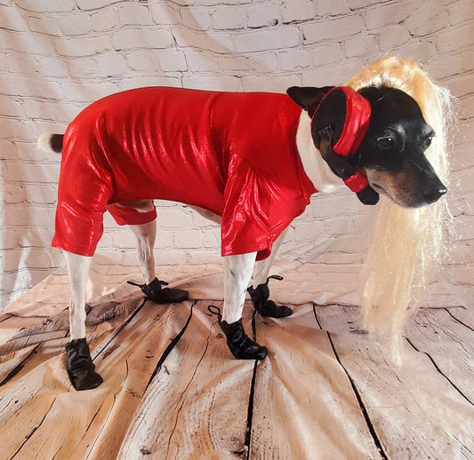 Britney Spears pet costume replica, oops I did it again pet costume, pop singer pet costume, dog pop singer, Britney Spears dog costume
