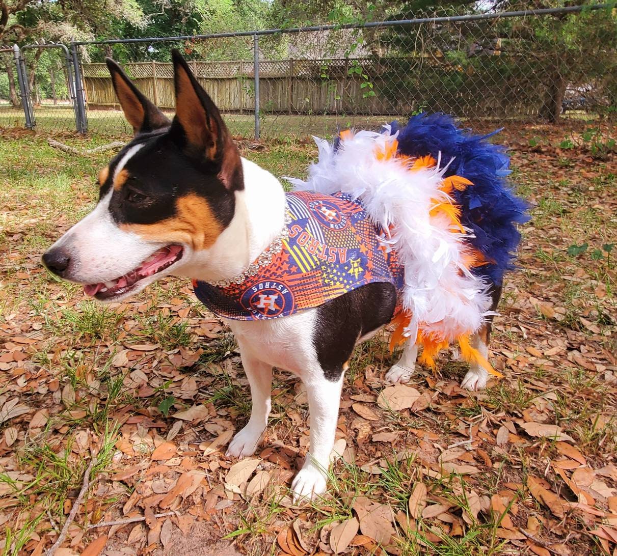 Houston Astros feather Pet dress, Astros feather dog dresses, Astros cat dress, Houston Astros Pet dresses, feather pet dresses, dog dress
