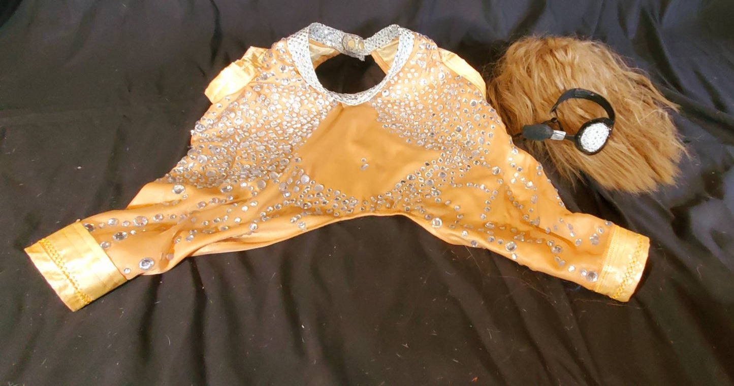Britney Spears pet tan diamond costume, Britney spears dog tan diamond costume, Britney spears myv outfit pet, pop singer pet costume