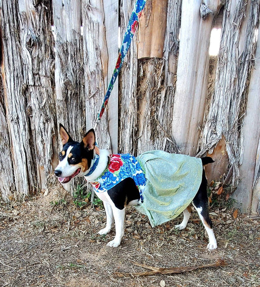 Flower glitter Pet dress, collar, leash combo set, flower glitter dog dress, flower cat dress, spring summer per dress, dresses for pets