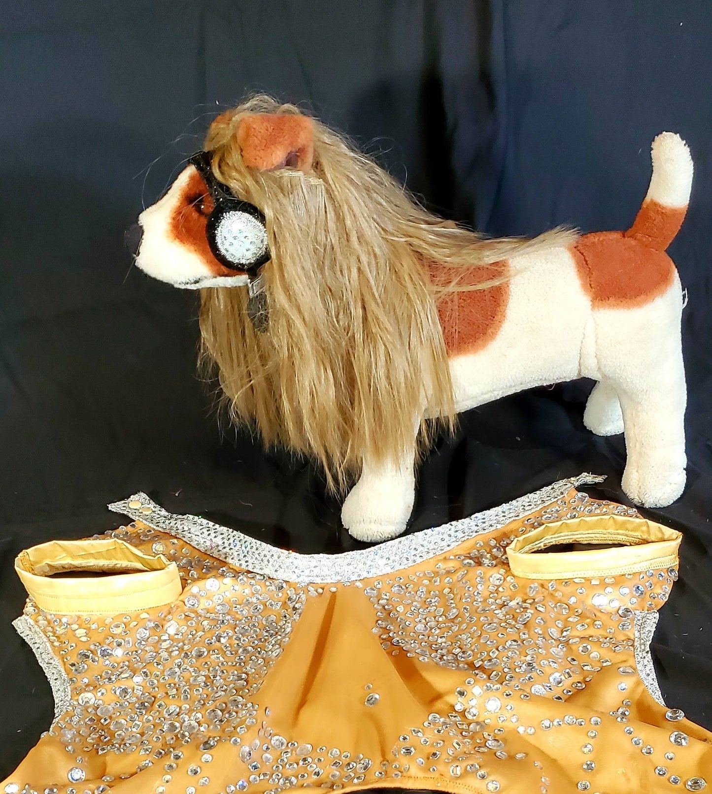 Britney Spears pet tan diamond costume, Britney spears dog tan diamond costume, Britney spears myv outfit pet, pop singer pet costume