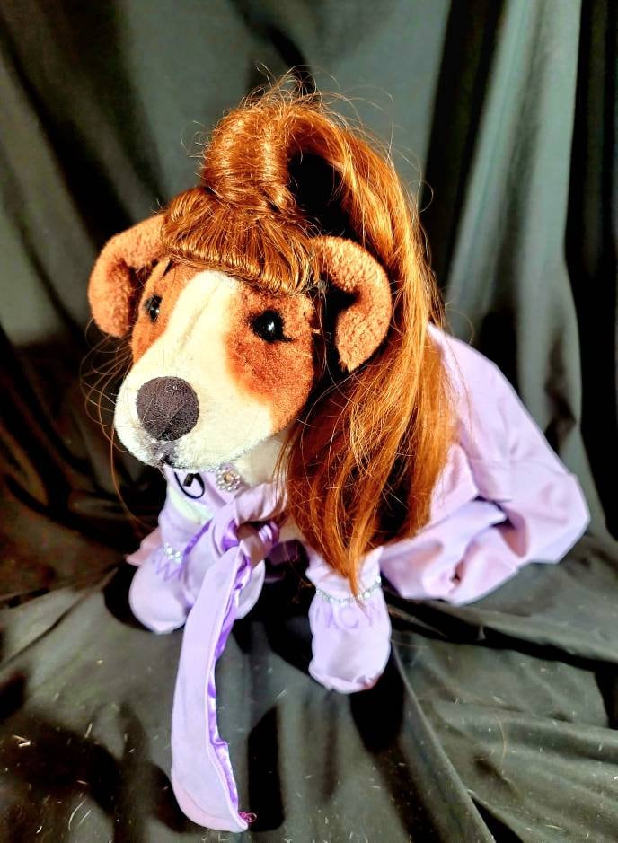 Celebrity Ariana Grande Pet Costume, Ariana Grande dog costume, high ponytail pet costume, pet wig costume, Ariana Grande high pony tail dog costume