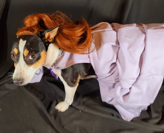 Celebrity Ariana Grande Pet Costume, Ariana Grande dog costume, high ponytail pet costume, pet wig costume, Ariana Grande high pony tail dog costume