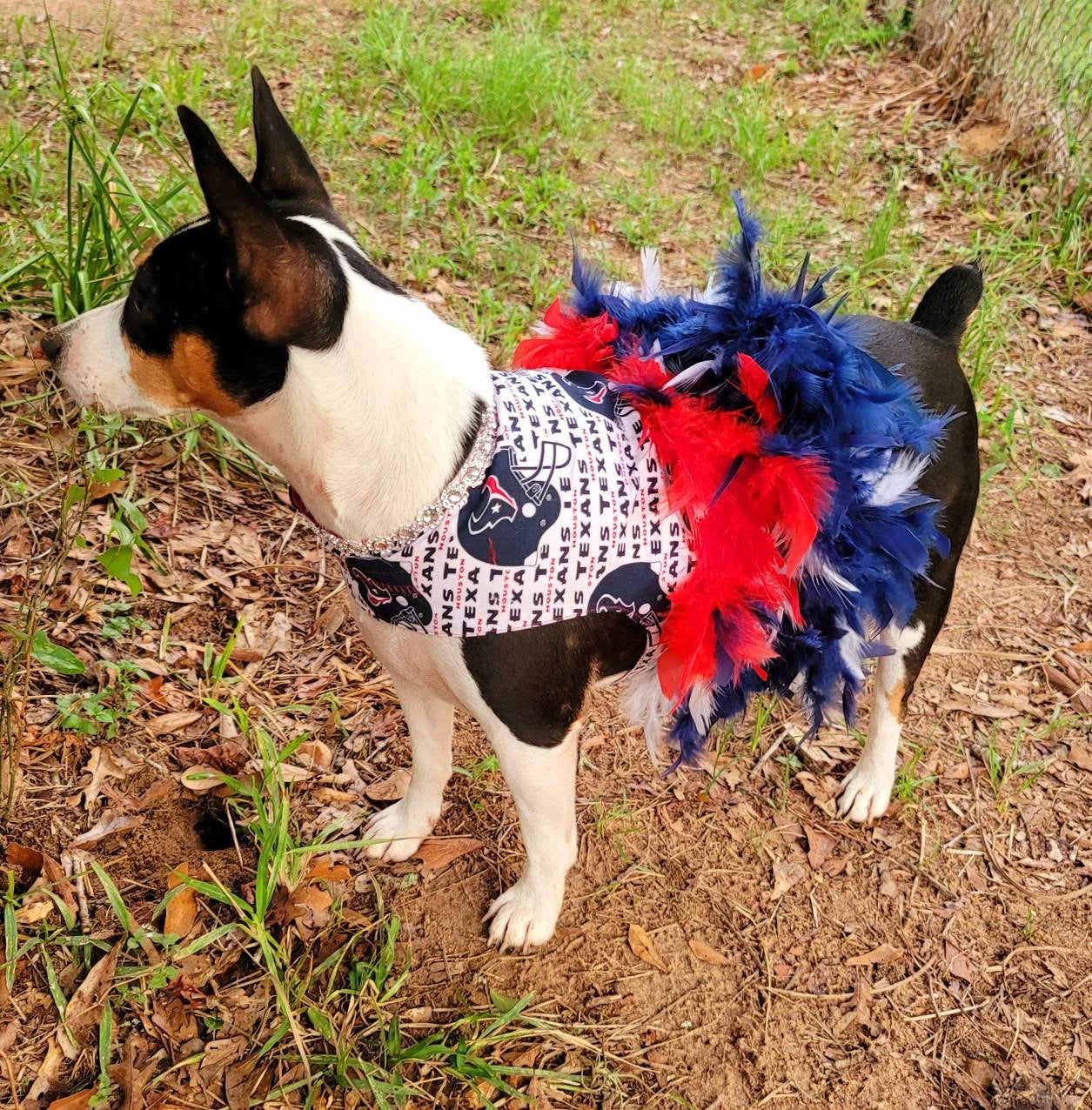 Houston Texans feather Pet dress, Texans feather dog dresses, Texans cat dress, Houston Texans Pet dresses, feather pet dresses, dog dress