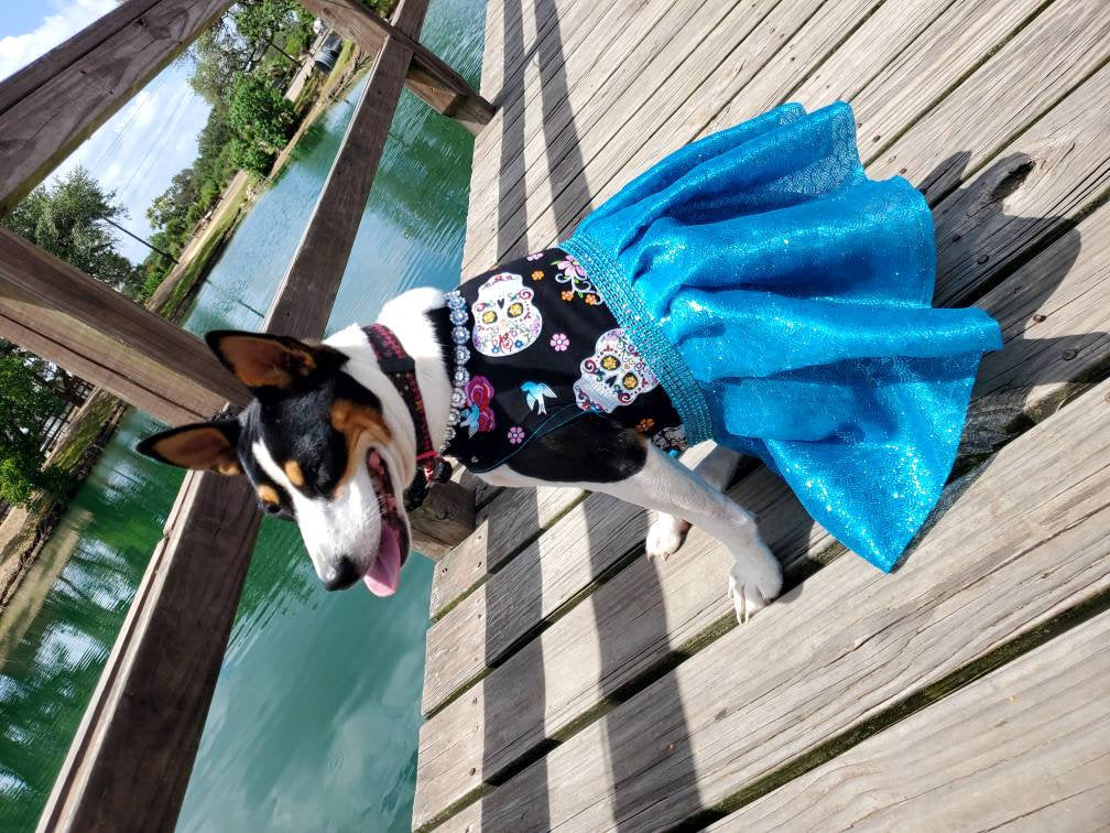Day of the dead pet dress, day of the dead dog dress, day of the dead cat dress, day of the dead pet costume, pet dresses, dog dresses