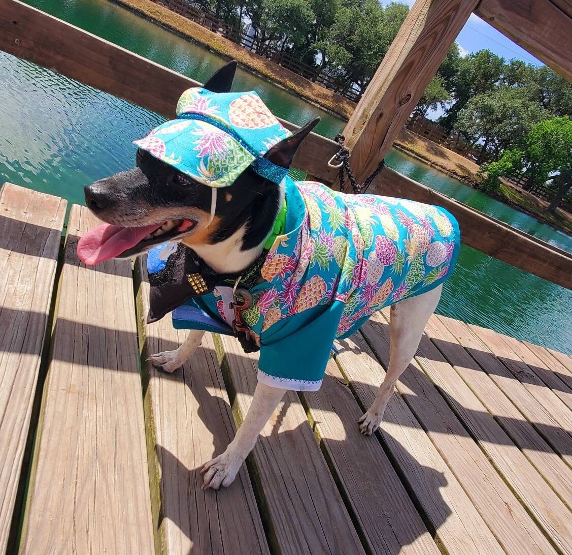 Pet tourist costume, dog tourist costume, pineapple pet shirt, Hawaiian pet costume clothing, male tourist costume, clothes for dogs