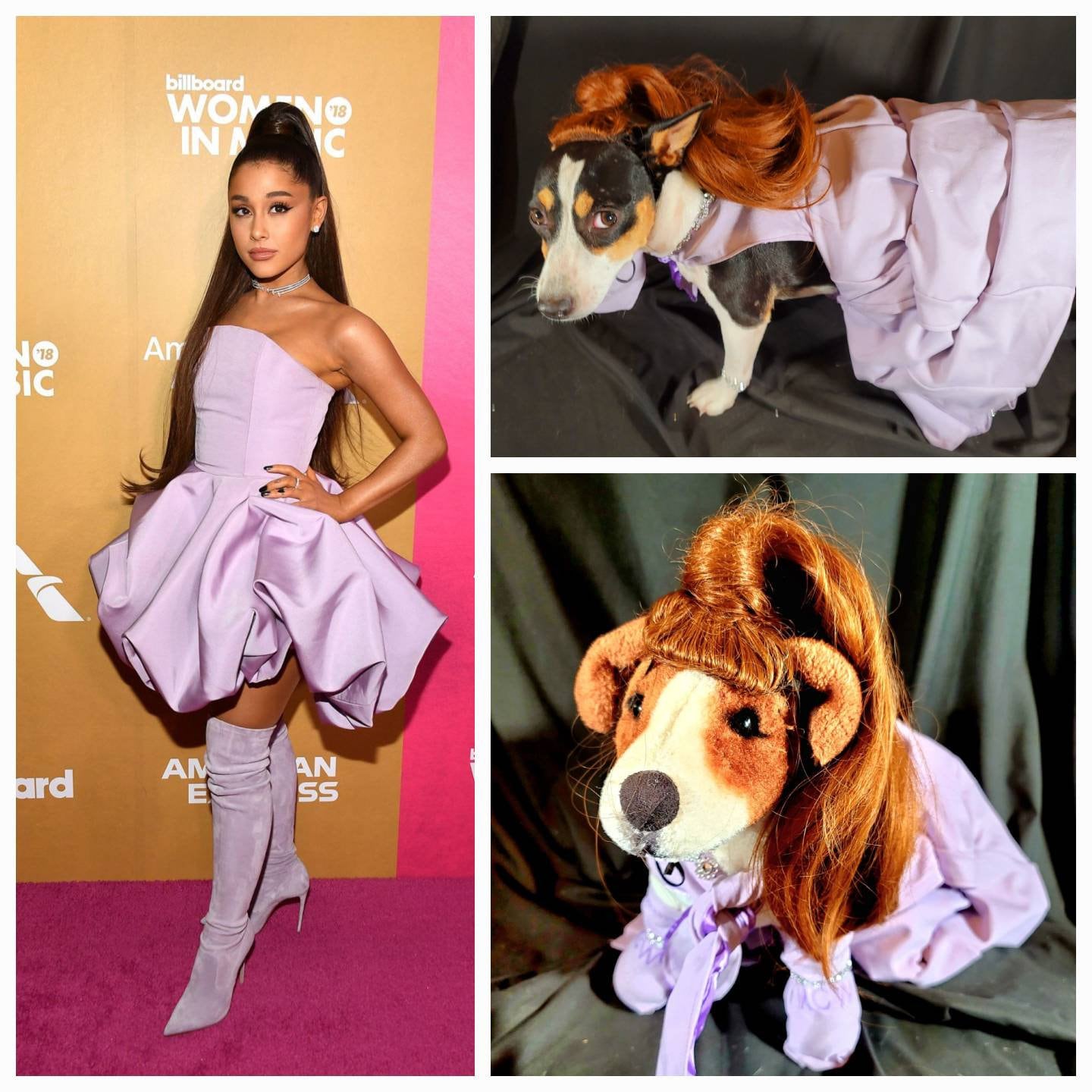 Celebrity Ariana Grande Pet Costume, Ariana Grande dog costume, high ponytail pet costume, pet wig costume, Ariana Grande high pony tail dog costume