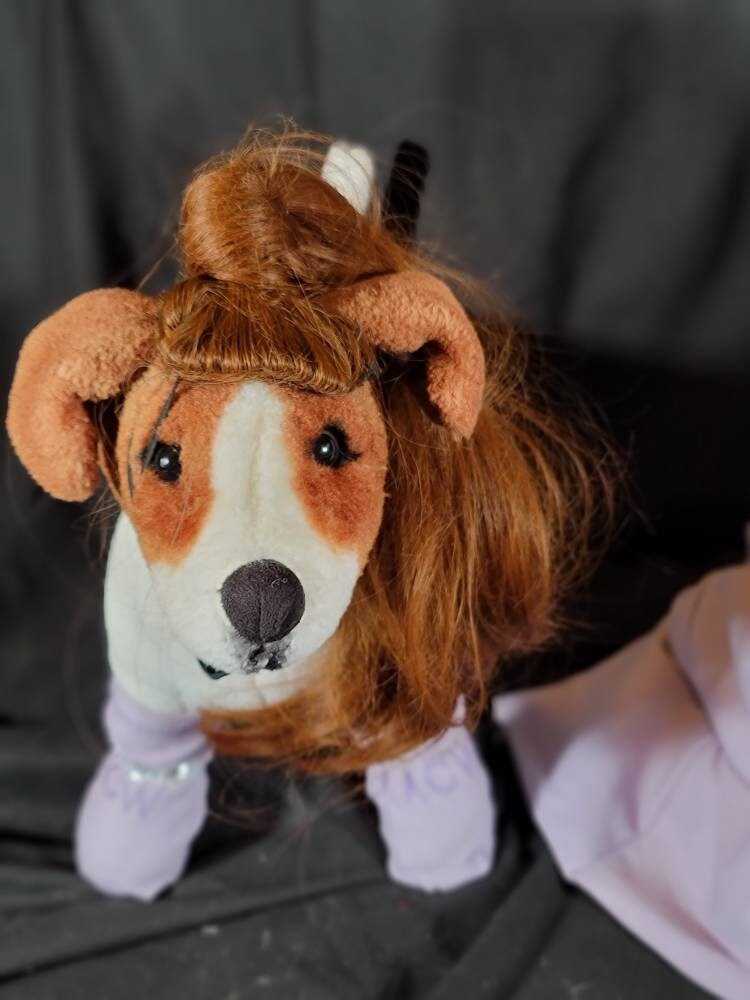Celebrity Ariana Grande Pet Costume, Ariana Grande dog costume, high ponytail pet costume, pet wig costume, Ariana Grande high pony tail dog costume