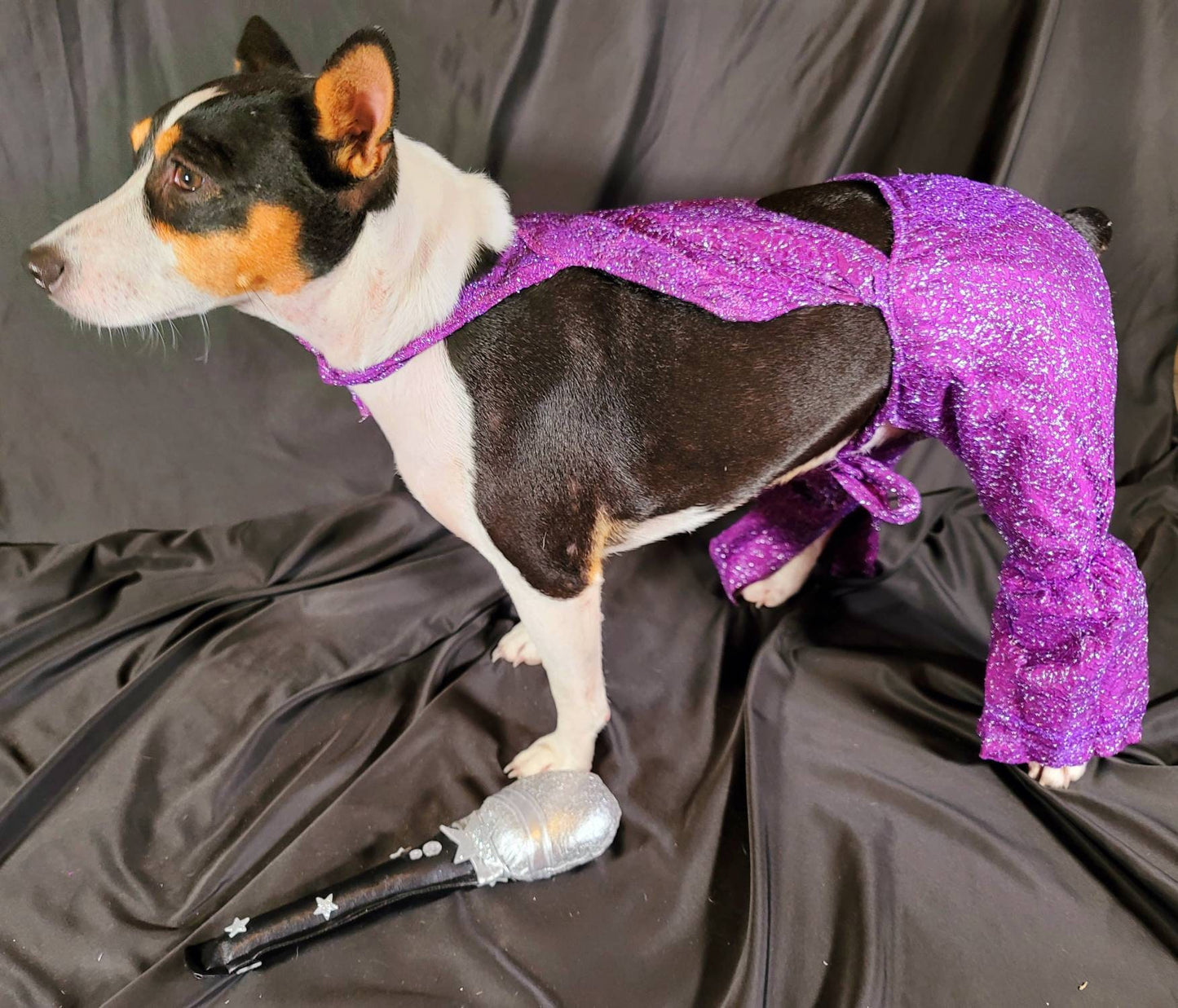 Selena replica Pet Costume, Selena Dog costume, Selena Iconic purple pet costume, Selena purple jumpsuit pet dog cat costume, wig selena