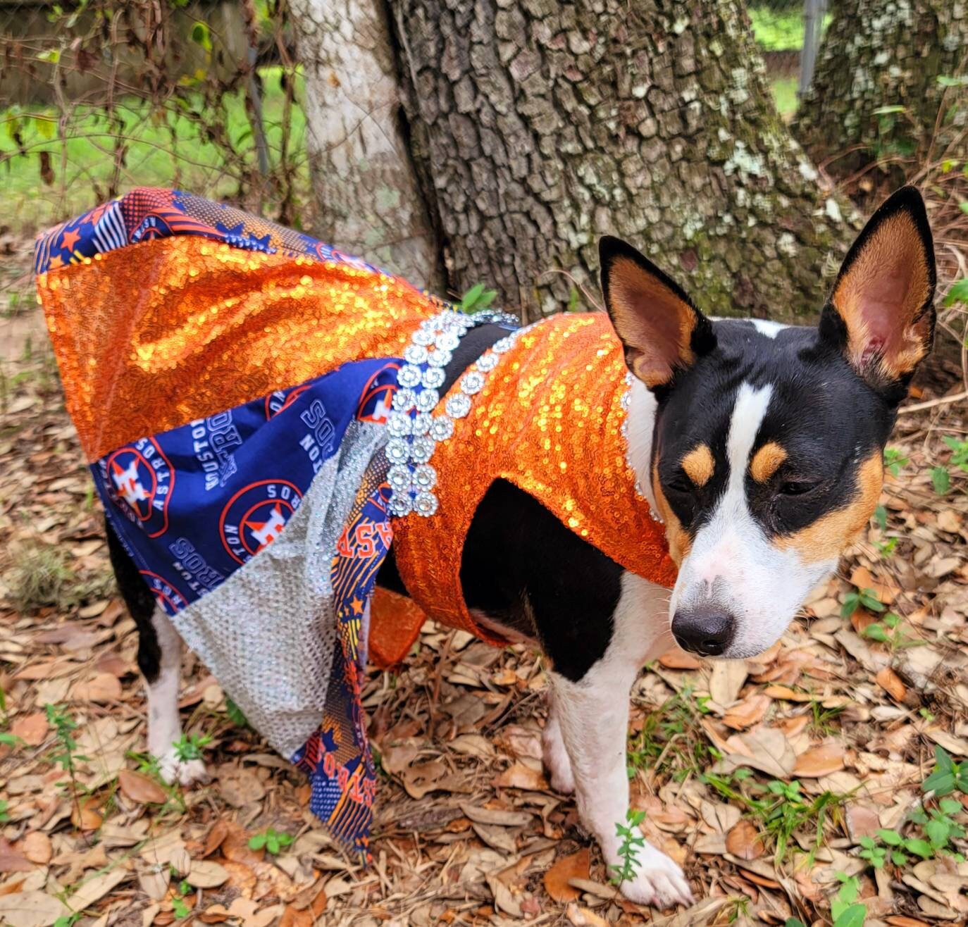 Houston Astros sequin pet dress, Astros sequins dog dress, Astros sequin cat dress, sequin pet dresses, Houston astro pet dress, Astros sequin Pet clothes