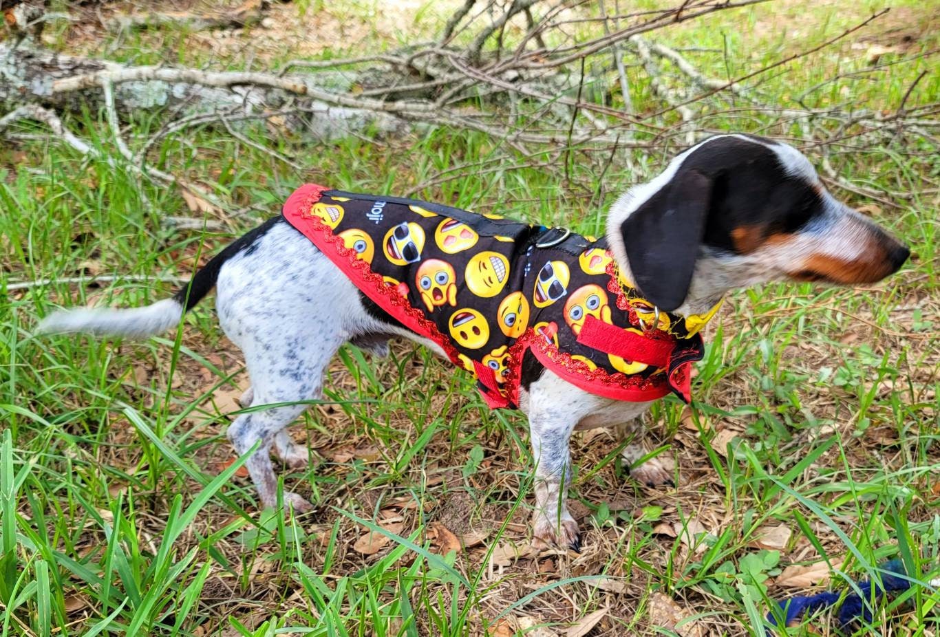 Emoji pet male harness, emoji dog dress, emoji dog harness, emoji cat harness, Smiley face pet harness, male dog pet harness Inactive