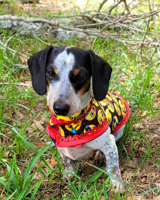 Emoji pet male harness, emoji dog dress, emoji dog harness, emoji cat harness, Smiley face pet harness, male dog pet harness Inactive