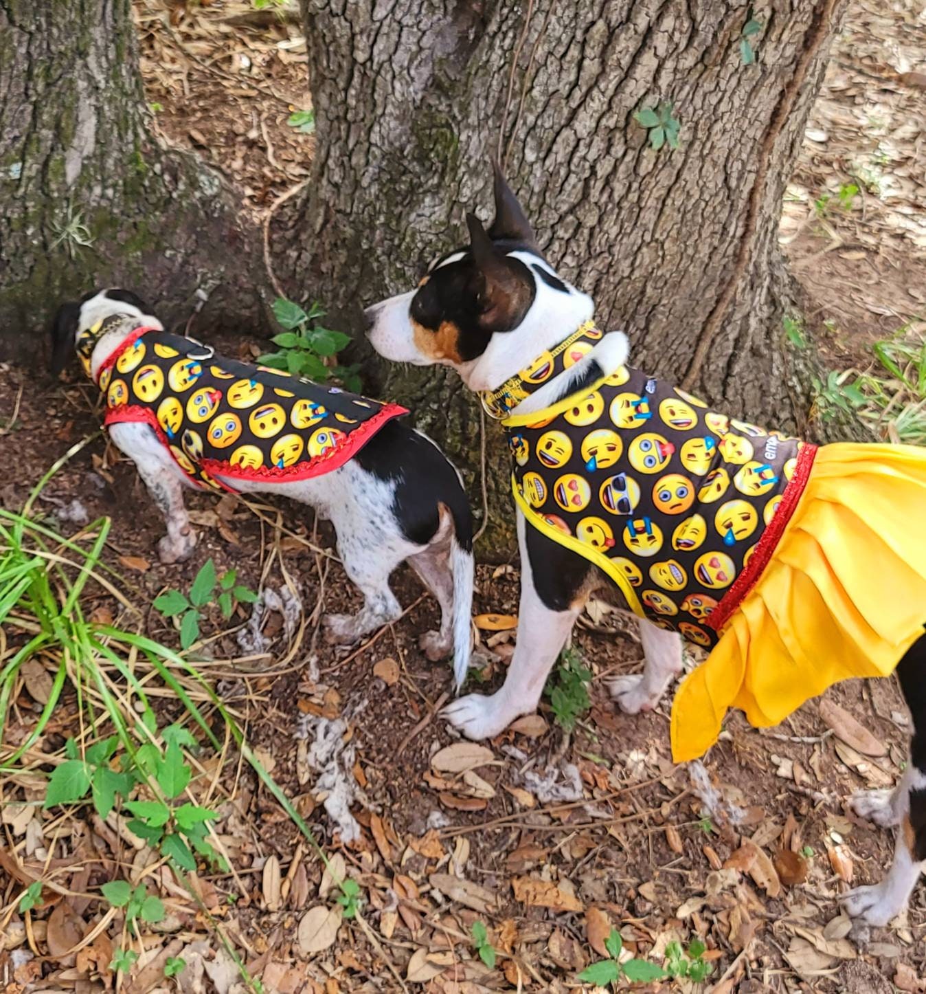 Emoji pet male harness, emoji dog dress, emoji dog harness, emoji cat harness, Smiley face pet harness, male dog pet harness Inactive