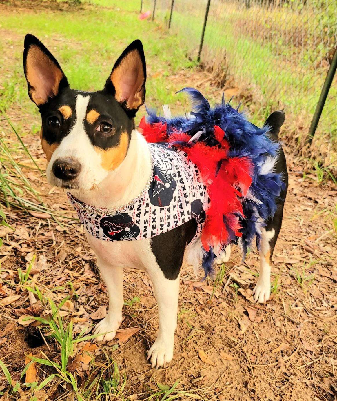 Houston Texans feather Pet dress, Texans feather dog dresses, Texans cat dress, Houston Texans Pet dresses, feather pet dresses, dog dress