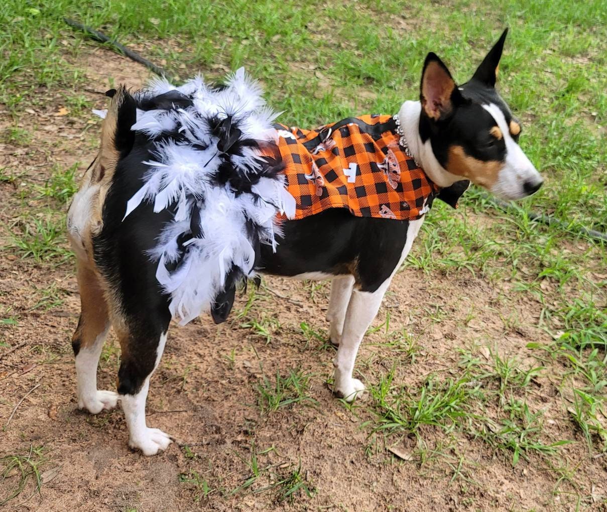 Longhorn feather Pet dog dress, Texas Longhorn feather pet dog dresses, Longhorn harness pet dress,longhorn cat harness dress, pet harness