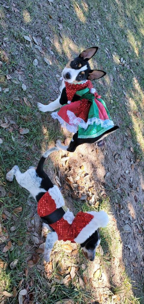 Elf pet costume, Elf dog costume, Elf cat costume, Pet Elf, Dog Elf, Elf dog dress, Elf sequin pet shirt, Elf pet dress, pet Elf dress