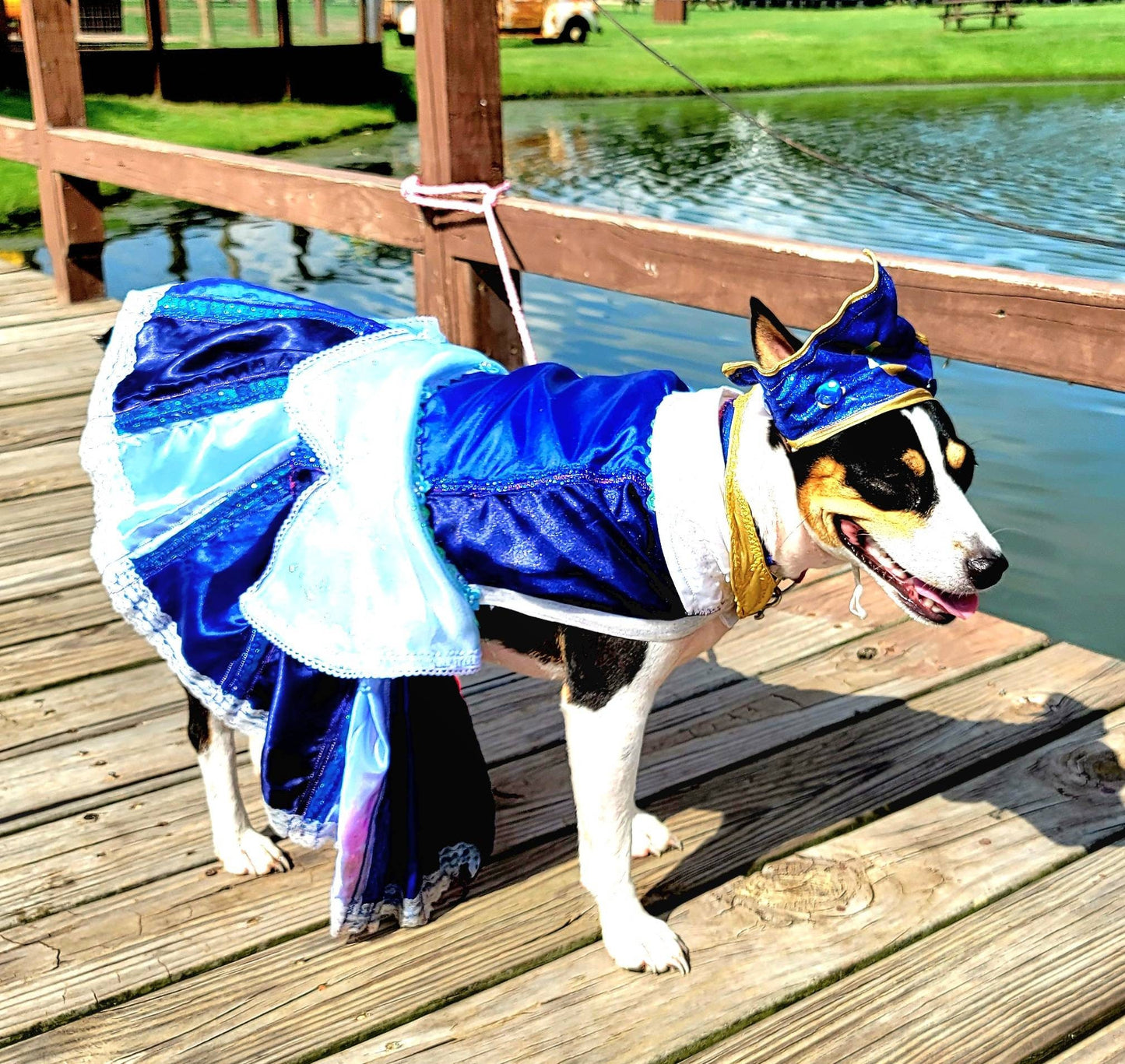 - Sleeping Beauty pet costume, sleeping beauty revisable pet costume, Sleeping Beauty is it pink is it blue pet costume, Aurora dog costume