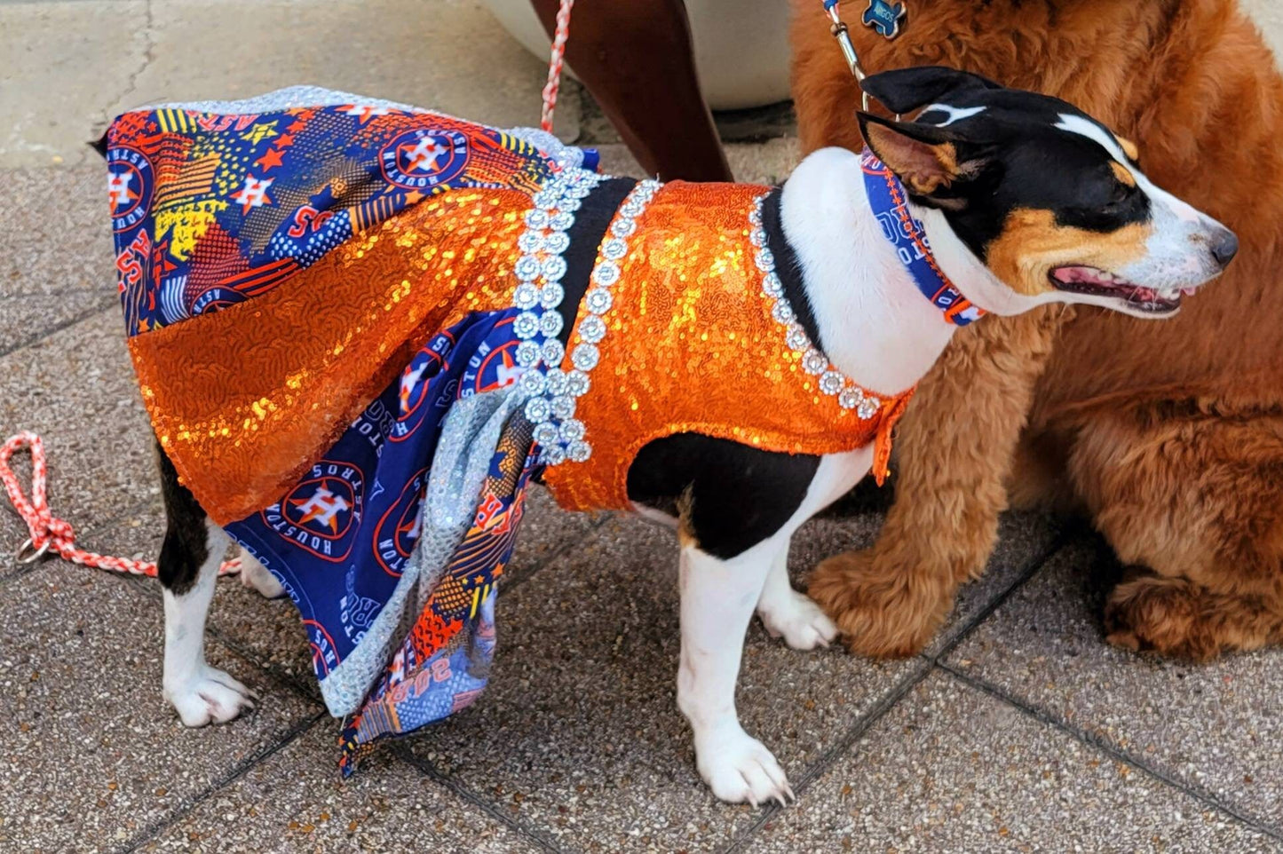 Houston Astros sequin pet dress, Astros sequins dog dress, Astros sequin cat dress, sequin pet dresses, Houston astro pet dress, Astros sequin Pet clothes