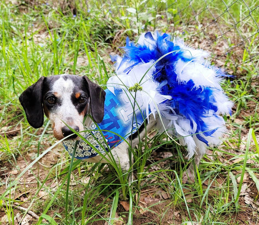 Dodgers feather pet dress, Dodgers feather dog dress, Dodgers cat dress, Los Angeles Dodgers pet dress, Los Angeles Dodgers dog dress