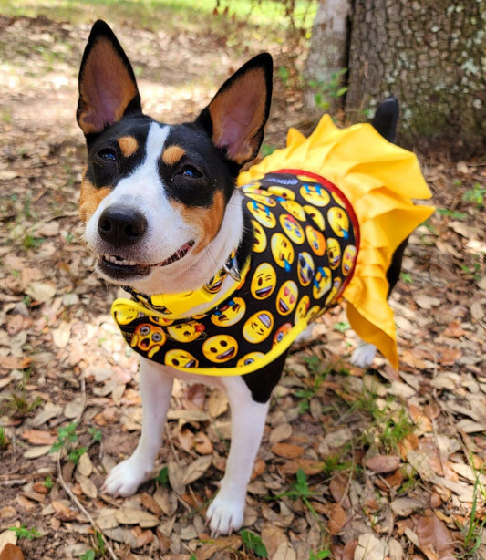 Emoji pet dress, Emoji pet harness, emoji dog dress, emoji dog harness, emoji cat harness, Smiley face pet dress, yellow pet dress