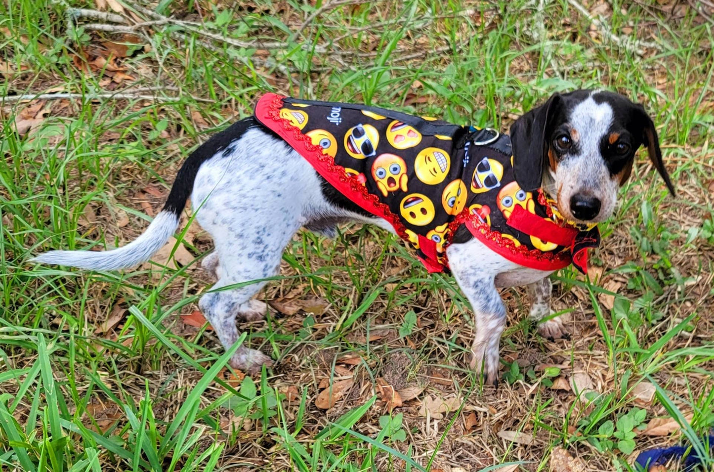 Emoji pet male harness, emoji dog dress, emoji dog harness, emoji cat harness, Smiley face pet harness, male dog pet harness Inactive