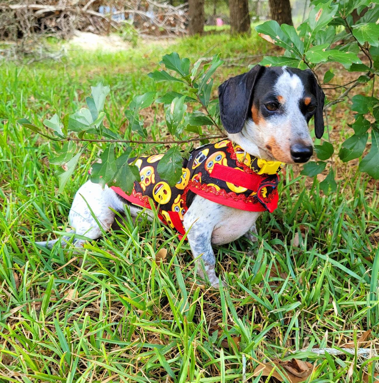 Emoji pet male harness, emoji dog dress, emoji dog harness, emoji cat harness, Smiley face pet harness, male dog pet harness Inactive