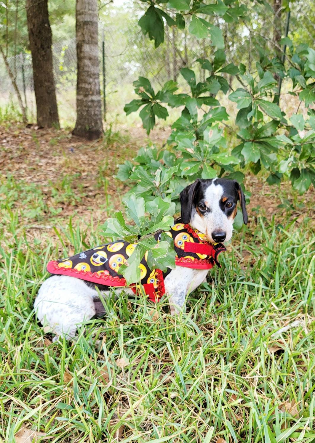 Emoji pet male harness, emoji dog dress, emoji dog harness, emoji cat harness, Smiley face pet harness, male dog pet harness Inactive