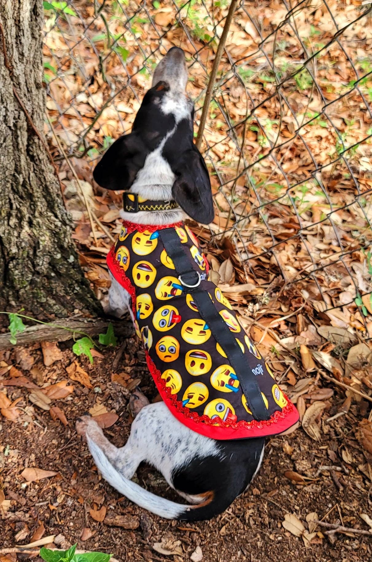 Emoji pet male harness, emoji dog dress, emoji dog harness, emoji cat harness, Smiley face pet harness, male dog pet harness Inactive