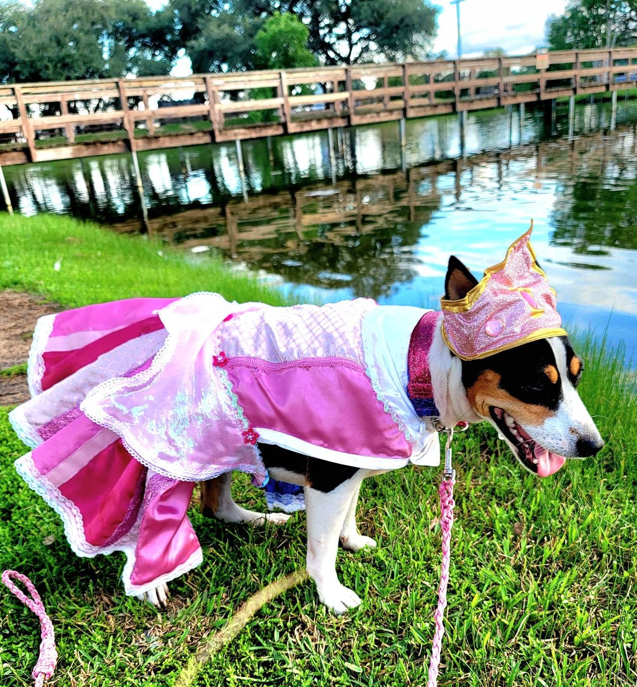 - Sleeping Beauty pet costume, sleeping beauty revisable pet costume, Sleeping Beauty is it pink is it blue pet costume, Aurora dog costume