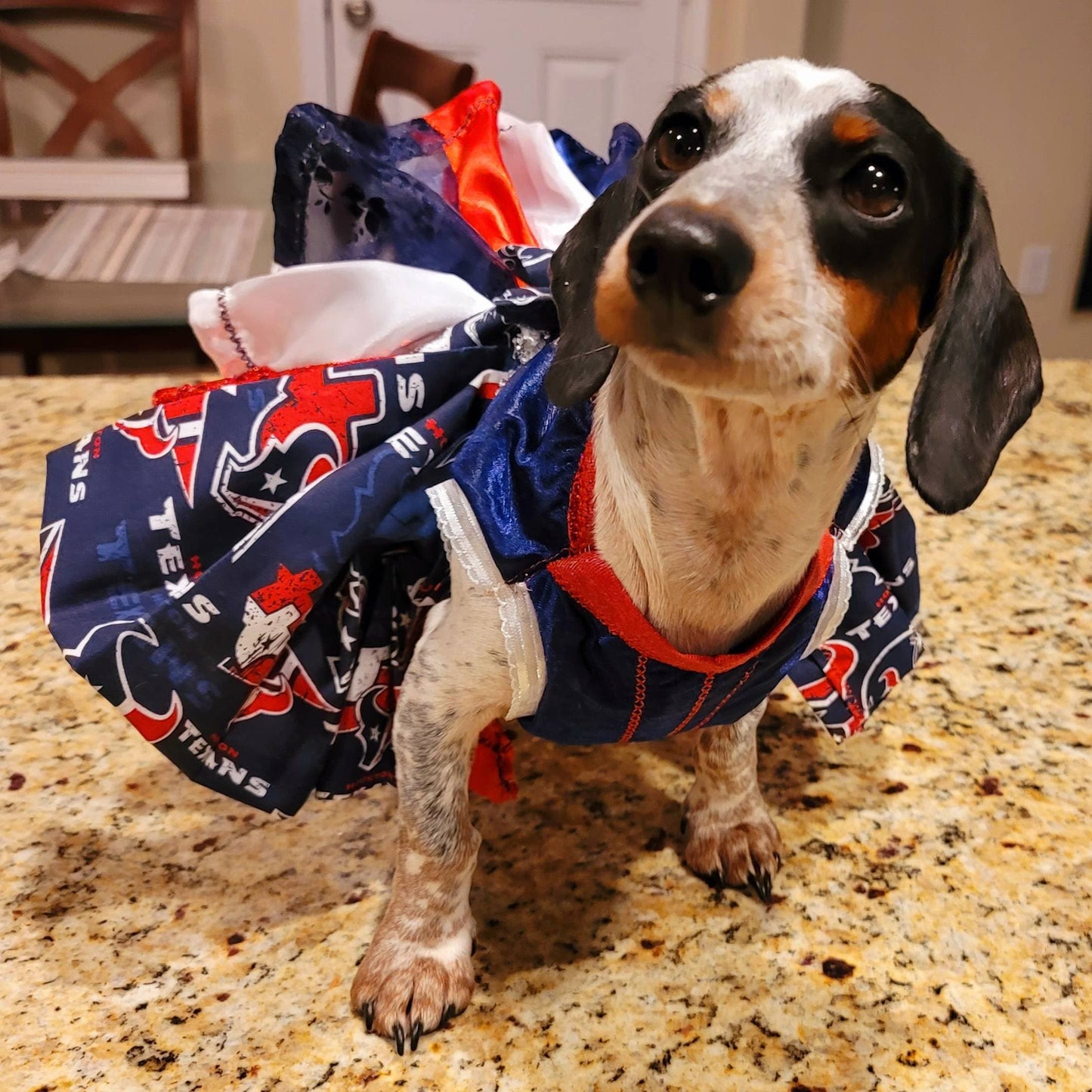 Houston Texan pet dress, glitter houston texan pet dress, houston texans dog dress, houston texans cat dress