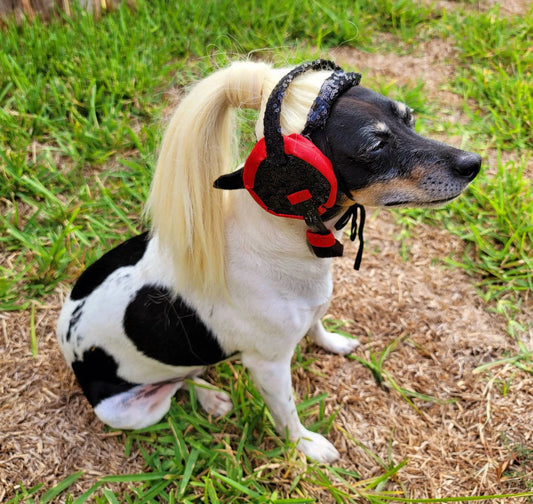 Pet Wigs, dog wigs, cat wigs, wigs for pets, Halloween Pet wigs, blond pet wig, brown pet wig, black pet wig, ponytail pet wig, wigs for dog