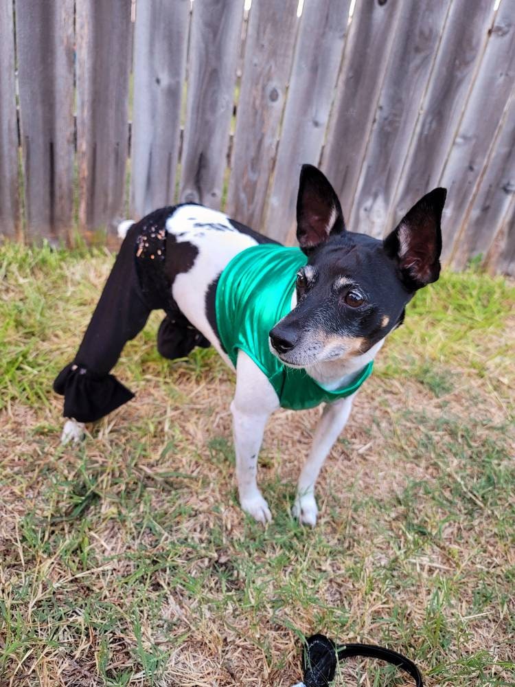 Britney Spears pet costume replica, Britney 'crazy' pet costume, Britney Green pet costume, Britney dog costume, Britney spears cat costume