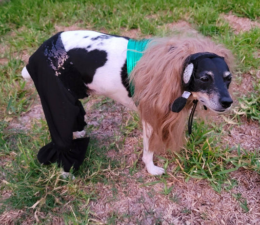 Britney Spears pet costume replica, Britney 'crazy' pet costume, Britney Green pet costume, Britney dog costume, Britney spears cat costume