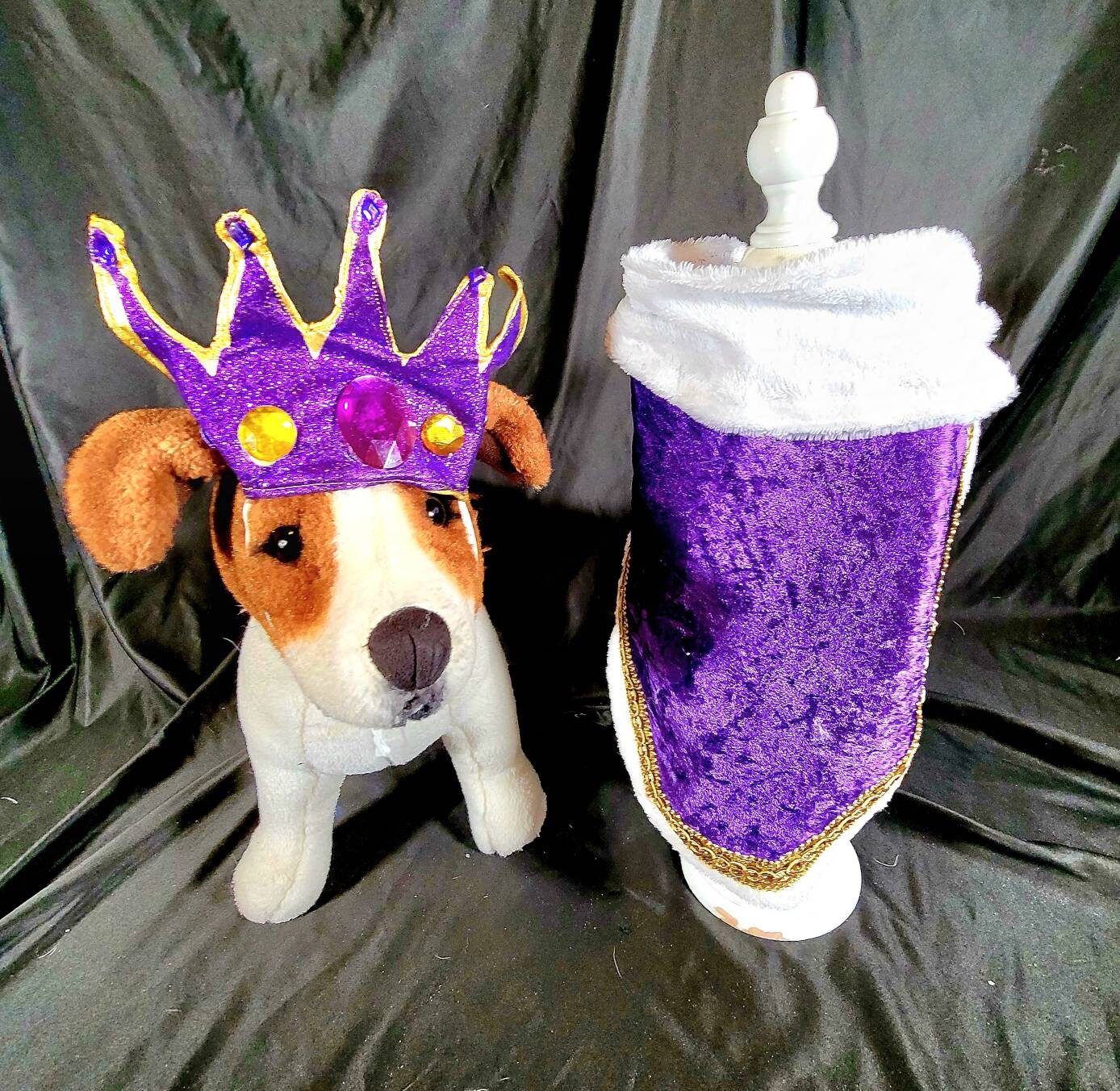 Renaissance male pet, Renaissance dog costume, Romeo pet costume, Medievil pet male costume, Medievil king pet, Renaissance king pet