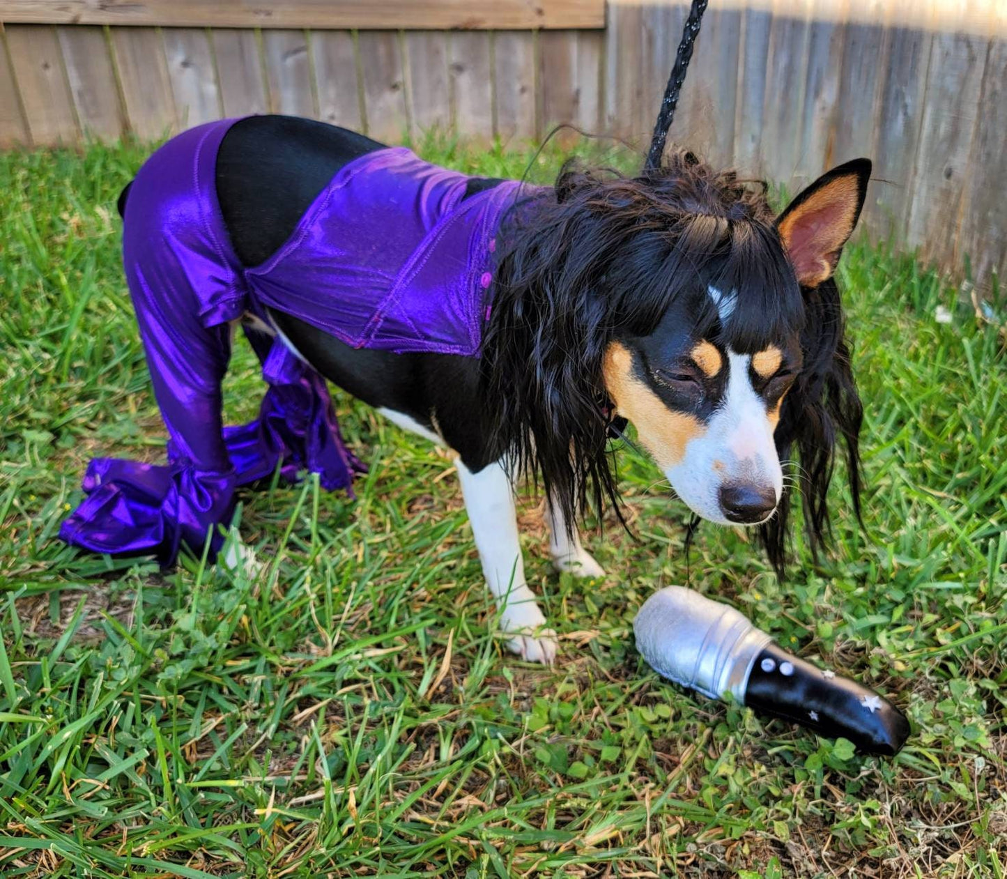 Selena replica Pet Costume, Selena Dog costume, Selena Iconic purple pet costume, Selena purple jumpsuit pet dog cat costume, wig selena