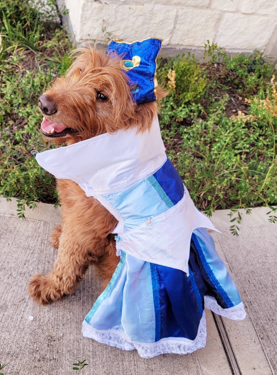 - Sleeping Beauty pet costume, sleeping beauty revisable pet costume, Sleeping Beauty is it pink is it blue pet costume, Aurora dog costume
