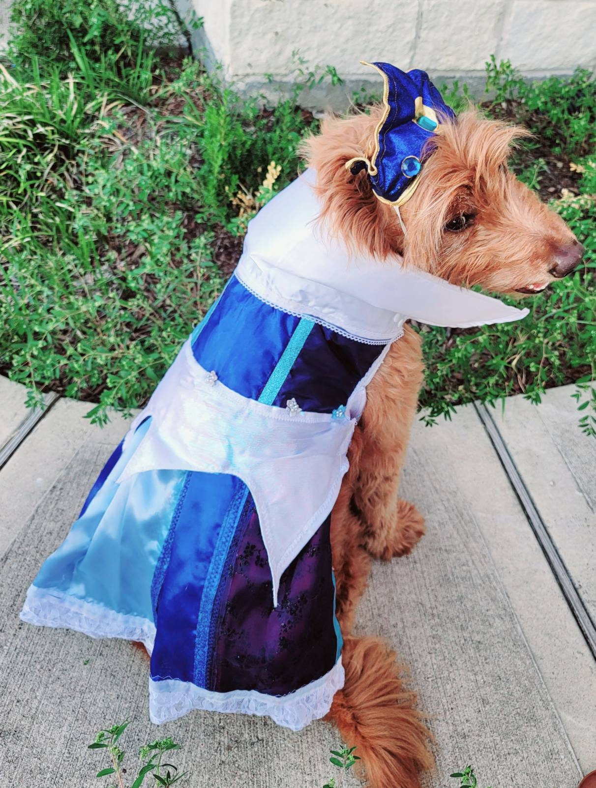 - Sleeping Beauty pet costume, sleeping beauty revisable pet costume, Sleeping Beauty is it pink is it blue pet costume, Aurora dog costume