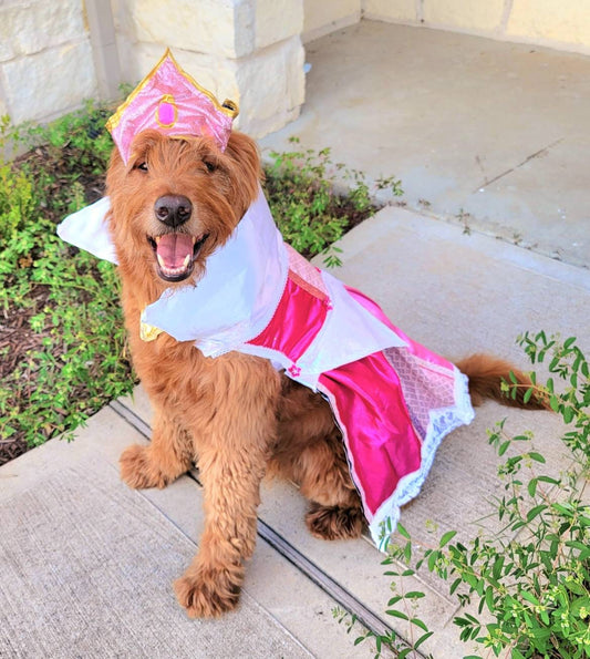 - Sleeping Beauty pet costume, sleeping beauty revisable pet costume, Sleeping Beauty is it pink is it blue pet costume, Aurora dog costume