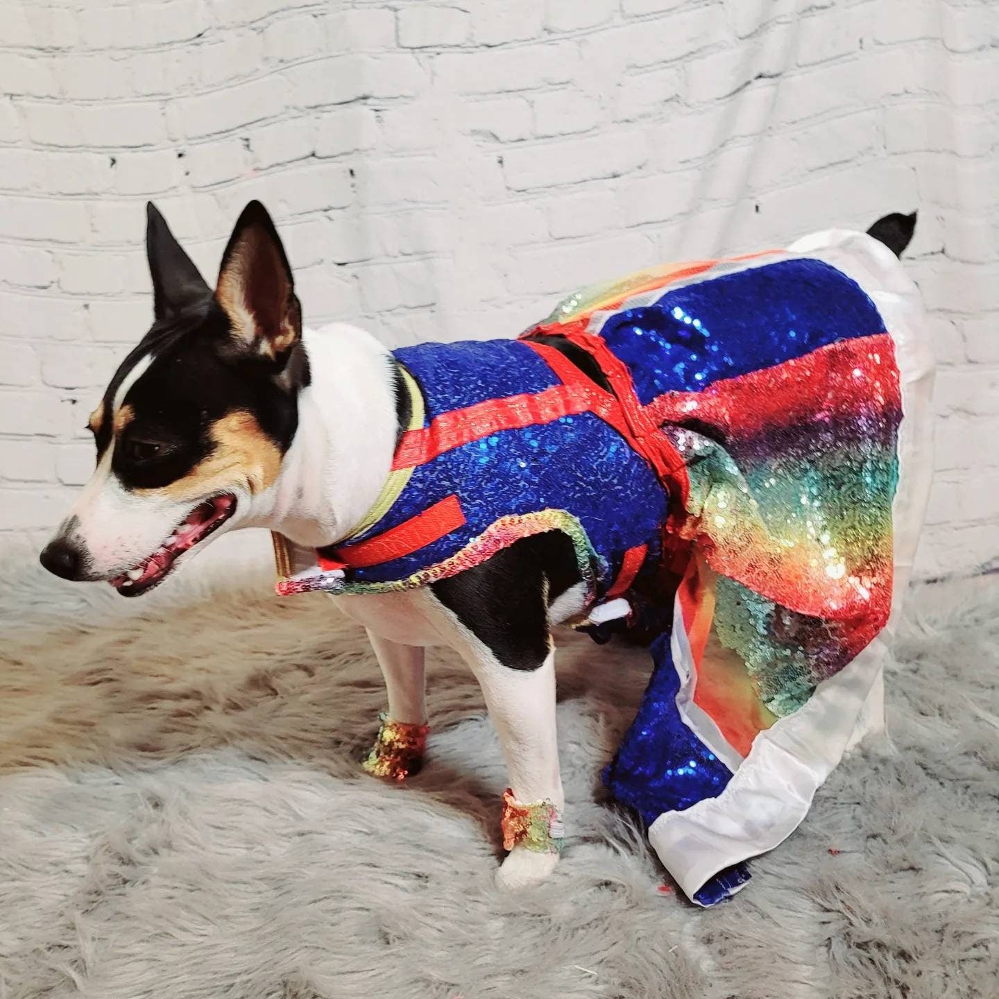 Rainbow Bright pet costume, Rainbow Bright dog costume, Rainbow Bright Cat costume, Rainbow sequin pet dress, Rainbow dog dress, Rainbow pet