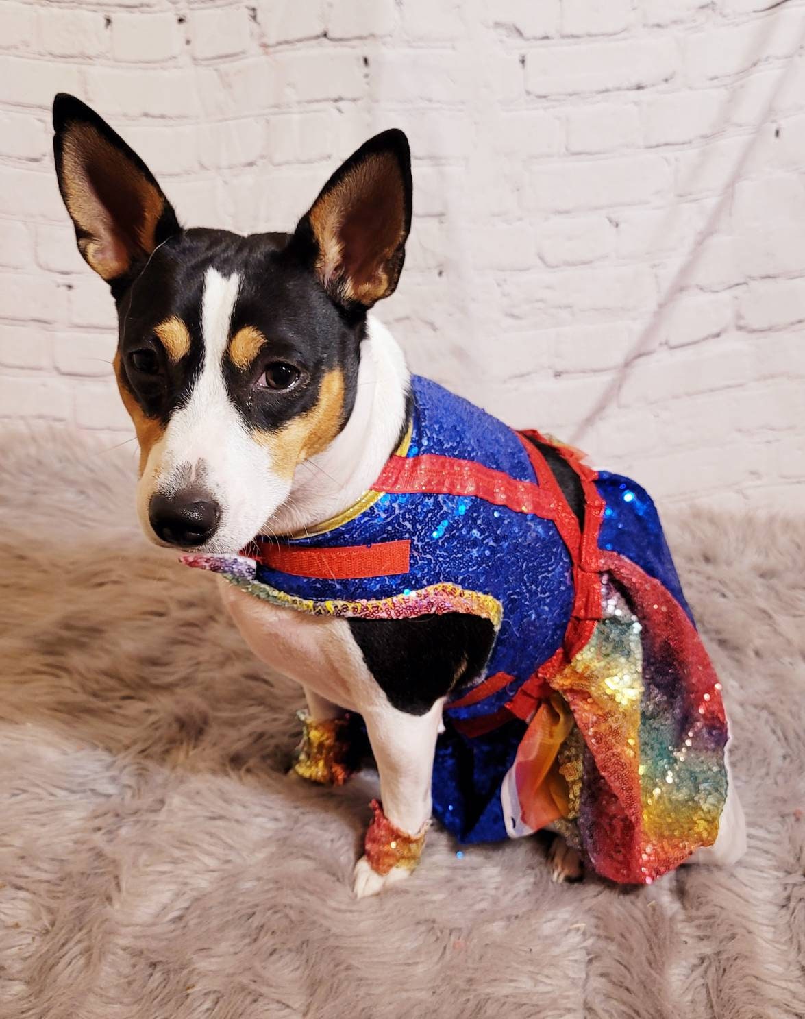 Rainbow Bright pet costume, Rainbow Bright dog costume, Rainbow Bright Cat costume, Rainbow sequin pet dress, Rainbow dog dress, Rainbow pet