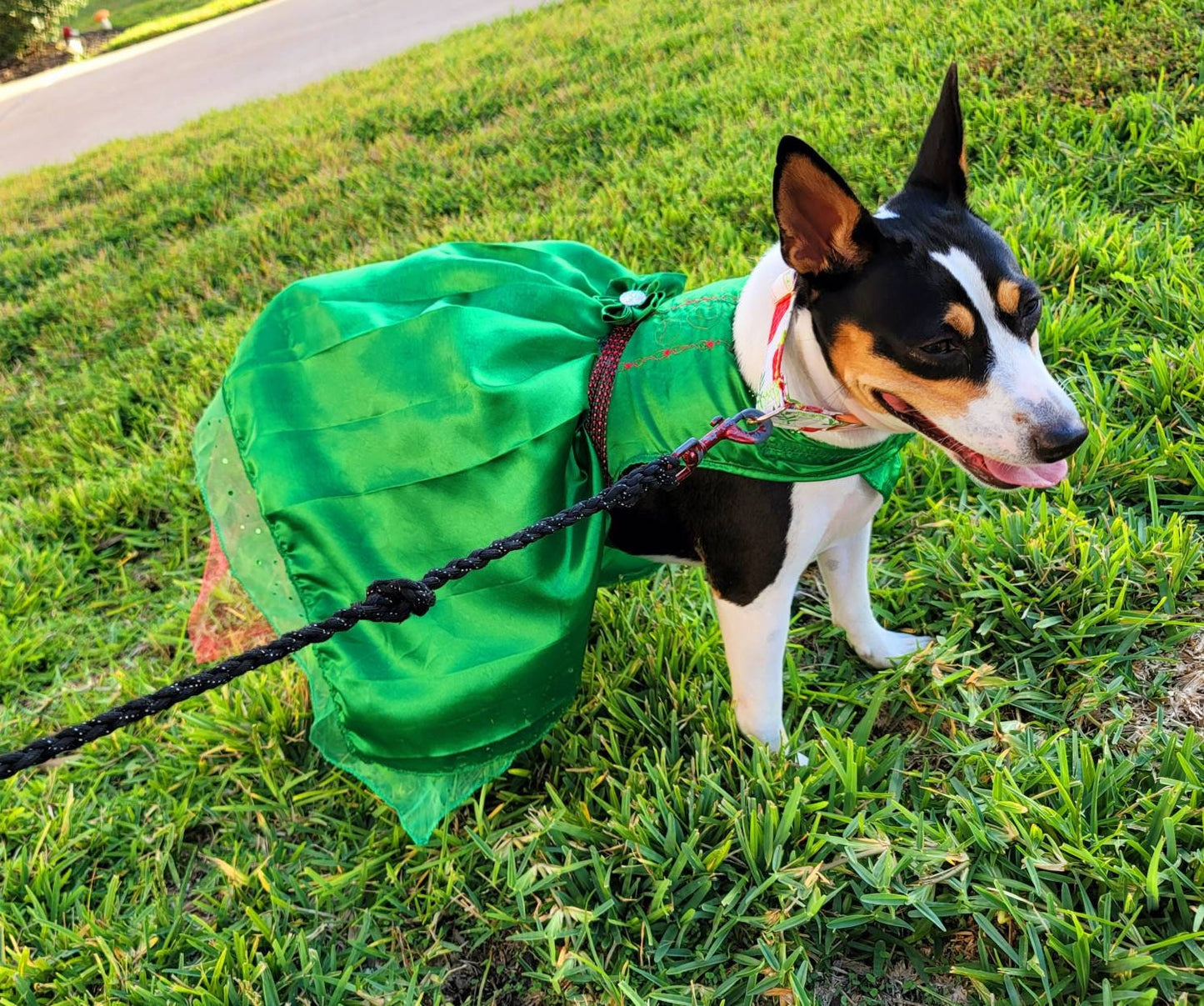 Pet Holiday dresses, dog holiday dress, pet Christmas dress, green pet dress, dog Christmas dress, cat holiday dress, holiday dresses pets