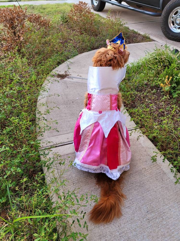 - Sleeping Beauty pet costume, sleeping beauty revisable pet costume, Sleeping Beauty is it pink is it blue pet costume, Aurora dog costume