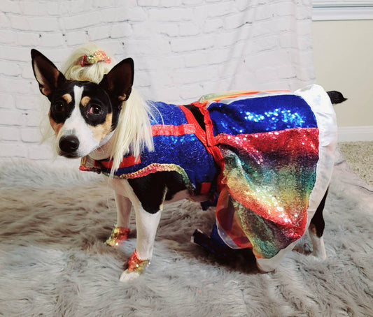 Rainbow Bright pet costume, Rainbow Bright dog costume, Rainbow Bright Cat costume, Rainbow sequin pet dress, Rainbow dog dress, Rainbow pet